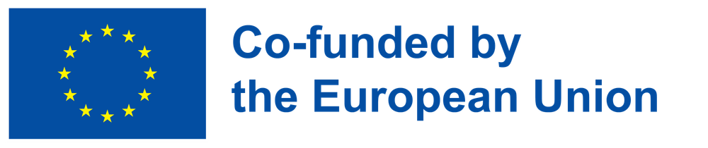 Co-funded by the European Union